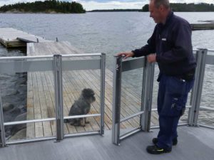 Lisa hund testar glasräcket